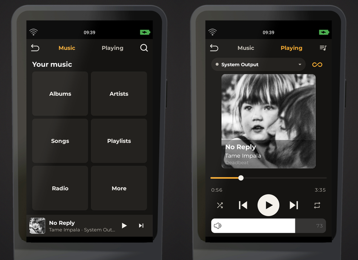 Roon Music browser and Playing screen on Haptique RS90